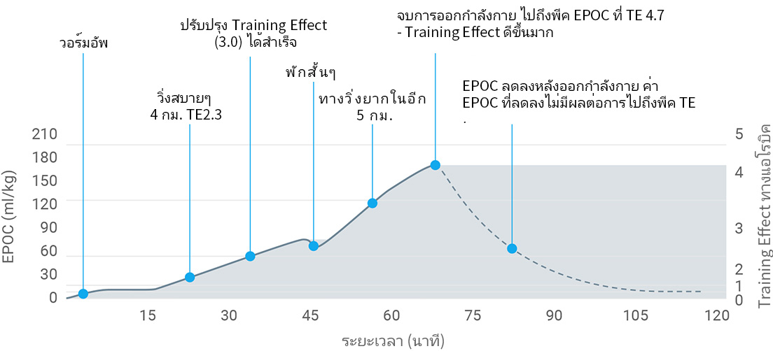 A graph showing excess post-exercise consumption derived from heart rate data during exercise.